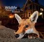 : Wildlife Photographer of the Year: Portfolio 26, Buch