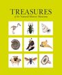 Natural History Museum: Treasures of the Natural History Museum, Buch