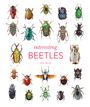 Max Barclay: Interesting Beetles, Buch