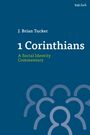 J Brian Tucker: 1 Corinthians: A Social Identity Commentary, Buch