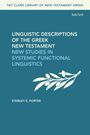 Stanley E Porter: Linguistic Descriptions of the Greek New Testament, Buch