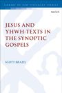 Scott Brazil: Jesus and Yhwh-Texts in the Synoptic Gospels, Buch