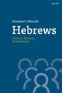 Matthew J. Marohl, Hebrews, A Social Identity Commentary. Illustration: stilisierte, ineinandergreifende Figuren auf blauem Hintergrund.