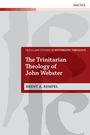 „T&T Clark Studies in Systematic Theology“, „The Trinitarian Theology of John Webster“, Brent A. Rempel. Graues Design mit roter Textbox.