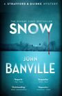 John Banville: Snow, Buch