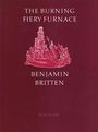 : Burning Fiery Furnace, Buch