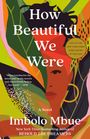 Imbolo Mbue: How Beautiful We Were, Buch