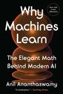 Anil Ananthaswamy: Why Machines Learn, Buch