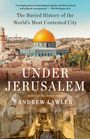 Andrew Lawler: Under Jerusalem, Buch