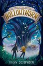 Kalyn Josephson: Hollowthorn: A Ravenfall Novel, Buch