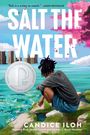 Candice Iloh: Salt the Water, Buch