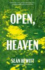 Seán Hewitt: Open, Heaven, Buch