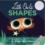 Text: Little Owl's Shapes. Illustration: Kleiner Eule mit großen Augen fliegt über einen Teich, Mond am Himmel.