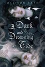 Allison Saft: A Dark and Drowning Tide, Buch