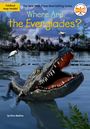 Nico Medina: Where Are the Everglades?, Buch