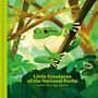 "Little Creatures of the National Parks" und "An Alphabet Book by Fifty-Nine Parks". Illustration von einem Frosch im Dschungel.
