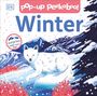 Dk: Pop-Up Peekaboo! Winter, Buch