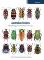 "Volume 1. Australian Beetles: Morphology, Classification and Keys. John F. Lawrence and Adam Ślipiński." Verschiedene Käfer.