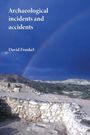 David Frankel: Archaeological Incidents and Accidents, Buch