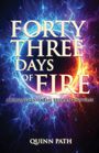 Quinn Path: Forty-Three Days Of Fire, Buch