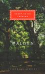 Henry David Thoreau: Walden, Buch