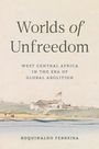 Roquinaldo Ferreira: Worlds of Unfreedom, Buch