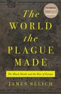 James Belich: The World the Plague Made, Buch