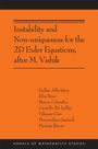 Camillo De Lellis: Instability and Non-Uniqueness for the 2D Euler Equations, After M. Vishik, Buch