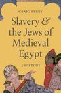 Craig Perry: Slavery and the Jews of Medieval Egypt, Buch
