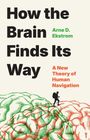 Text: "How the Brain Finds Its Way" von Arne D. Ekstrom. Illustration eines Wanderers auf einem Gehirn.