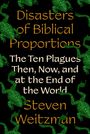 Steven Weitzman: Disasters of Biblical Proportions, Buch