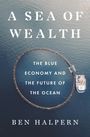 Ben Halpern: A Sea of Wealth, Buch