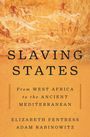 Adam Thomas Rabinowitz: Slaving States, Buch
