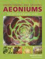 „Understanding and Growing Aeoniums: From wild origins to garden success“ über einem großen Foto einer Sukkulente.