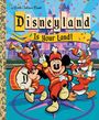 Disneyland Is Your Land!, Buch