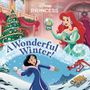 Random House Disney: A Wonderful Winter! (Disney Princess), Buch