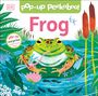 Dk: Pop-Up Peekaboo! Frog, Buch