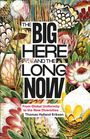 Thomas Hylland Eriksen: The Big Here and the Long Now, Buch