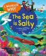 Anita Ganeri: I Wonder Why the Sea Is Salty, Buch