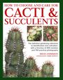 Miles Anderson: How to Choose and Care for Cacti & Succulents, Buch