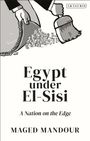 Maged Mandour: Egypt under El-Sisi, Buch