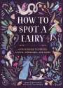 Sarah Glenn Marsh: How to Spot a Fairy, Buch