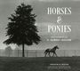 Jennifer Bodine: Horses and Ponies, Buch