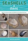 "Seashells of Maine", ist oben im Bild. Darunter: "Identify and Learn About the Shells You Find Along the Coast". Schalenabbildungen.