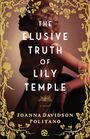 Joanna Davidson Politano: The Elusive Truth of Lily Temple, Buch