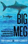 Tim Flannery: Big Meg, Buch