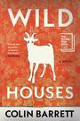 Colin Barrett: Wild Houses, Buch