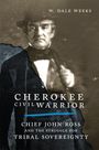 W. Dale Weeks: Cherokee Civil Warrior, Buch