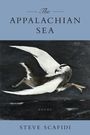 Steve Scafidi: The Appalachian Sea, Buch
