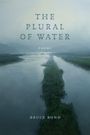 Bruce Bond: The Plural of Water, Buch